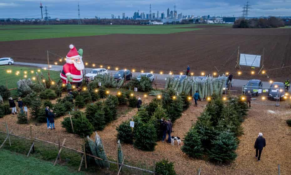 Christmas trees for sale on the outskirts of Frankfurt