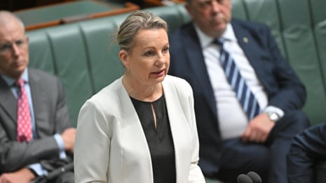 Sussan Ley reads the names of the 60 women ‍killed in Australia this year – video