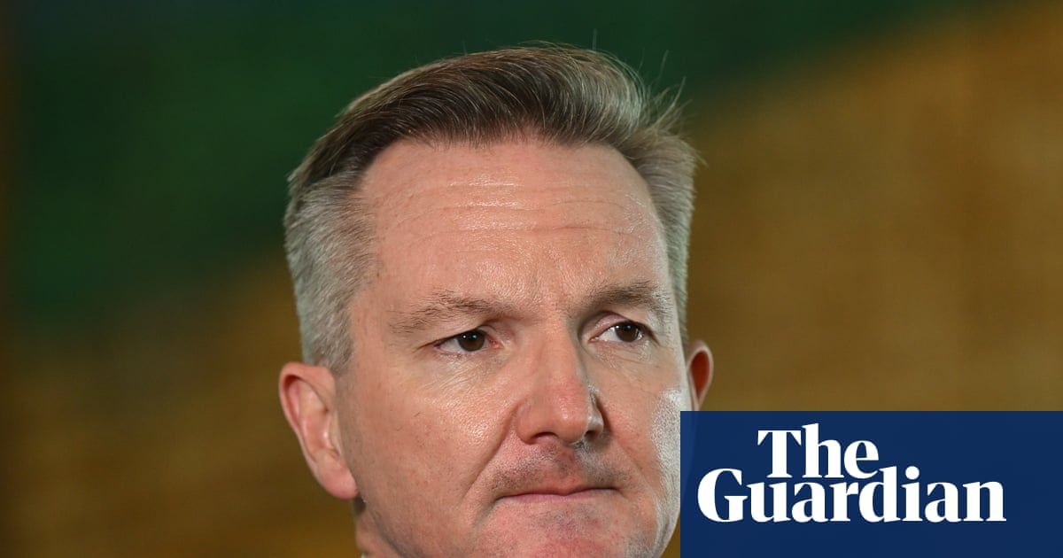 Chris Bowen declares rush on jerry cans ‘un-Australian’ as he urges end to panic buying of petrol