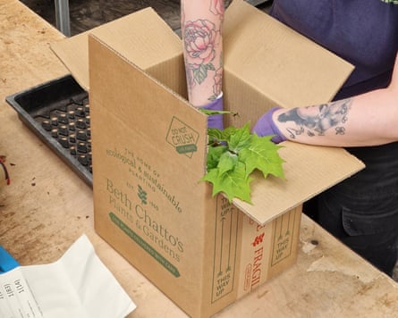Beth Chatto plants
