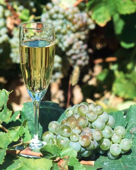 A glass of Blanquette de Limoux.