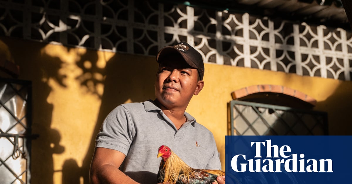As Colombia moves to outlaw cockfighting, a bloody night unfolds in Cartagena