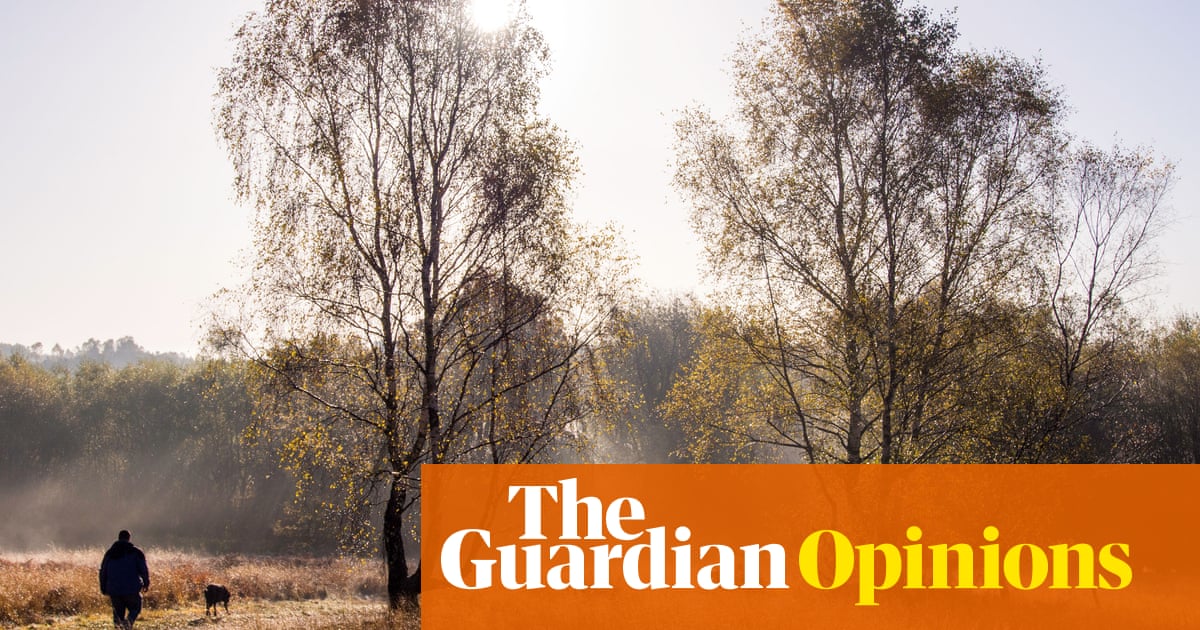 England's planning bill has many naysayers. I'm not one of them | Nick WIlliams