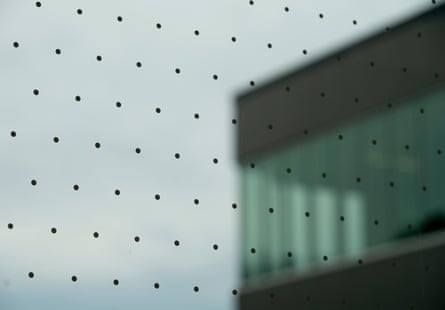 A laminate of dots applied to window glass help minimize bird collisions.