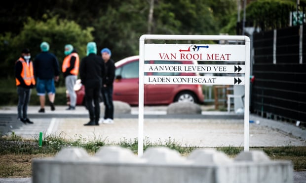 Workers arrive at the meat plant in Helmond