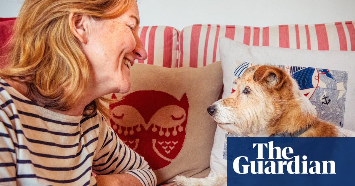 The secret psychology of dogs and cats: do we ever really know what they are thinking?