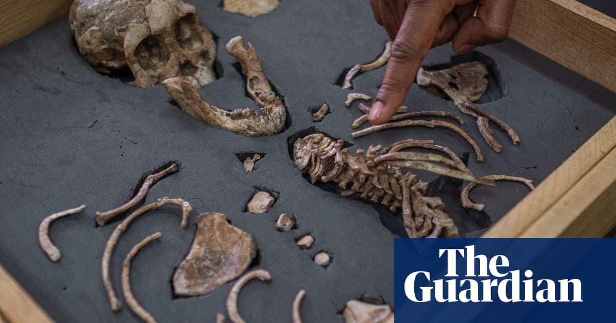 It's always been some white dude': how Ethiopia became the world leader in uncovering the story of humankind