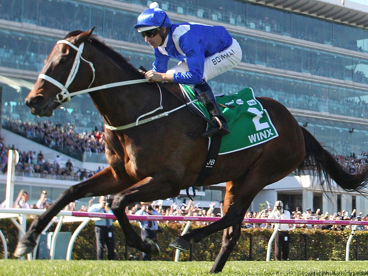 winx how good is the horse whose dung sells for 200 a bag horse racing the guardian