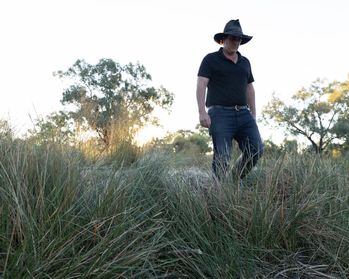 ‘We don’t hear the frogs, we don’t see the birds’: government repeatedly delayed water to NSW wetlands, documents reveal
