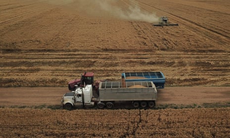 Trucks driving by a wheat field, where a harvesting vehicle is driving through the crops