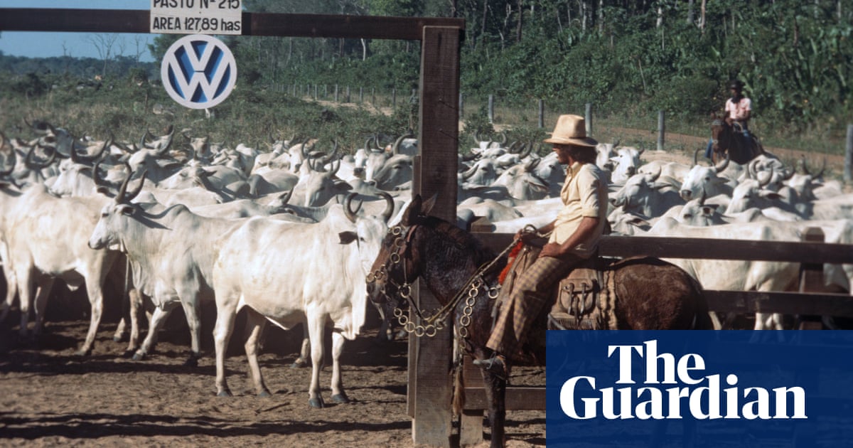 5586.jpg?width=1200&height=630&quality=8