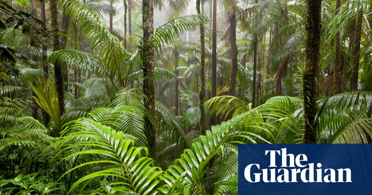 Queensland budget invests in national parks but ‘does nothing’ for climate crisis, critics say