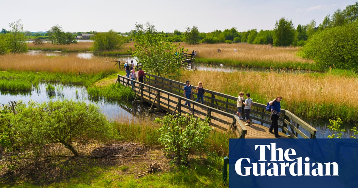 Take The Kids To London Wetland Centre Barnes Travel The