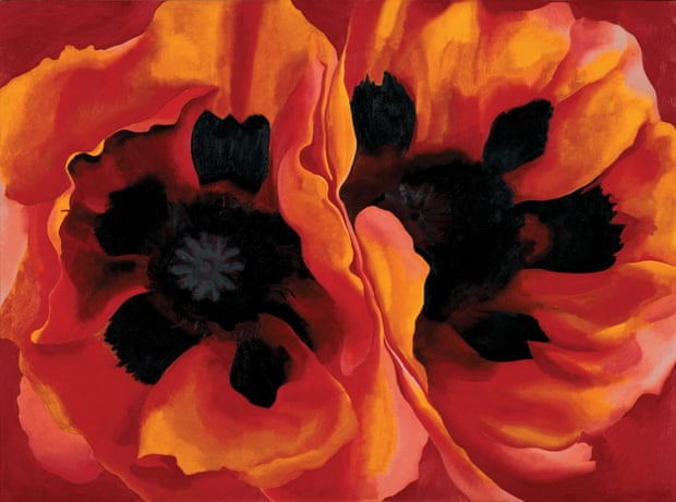 Sexualised flowers … Georgia O’Keeffe.