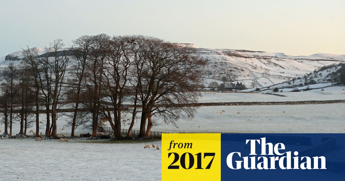 Snow Blankets Parts Of Uk As Storm Caroline Leaves Arctic Chill Uk News The Guardian