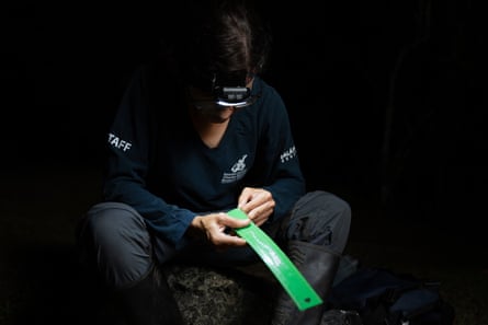 A person wearing a head torch examines a green measuring strip in the dark