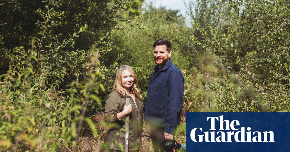 Giving back to the land: an off-grid eco-guesthouse in a ‘quietly radical corner’ of south-west Ireland | Travel Giving back to the land: an off-grid eco-guesthouse in a ‘quietly radical corner’ of south-west Ireland | Travel