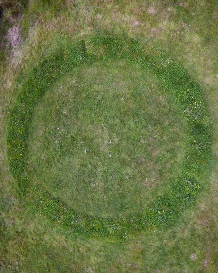 Aerial view of a circular ring pattern in a West Wales field, with wildflowers along the ring