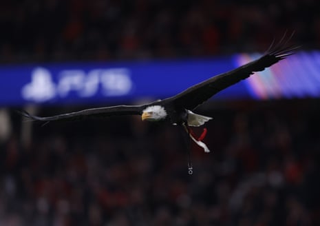 Benfica’s mascot, a bald eagle named “Águia Vitória”, flies prior to the Champions League knockout round play-off first leg football match between Benfica and Real Madrid.