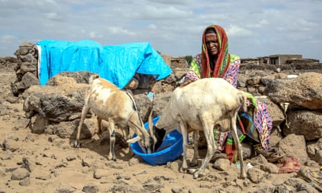  Buho Asowe Eye with some of her animals in Ethiopia’s Siti region. The humanitarian situation in the country is ‘serious and deteriorating’, says Oxfam.