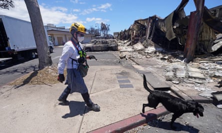 A member of the search and rescue team with her cadaver dog in Lahaina.