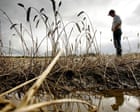 One year’s worth of bread lost in UK to wrecked harvests since 2020, report finds