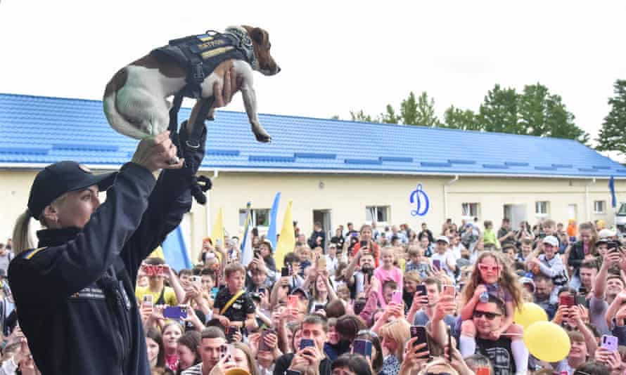 The two-and-a-half-year-old jack russell has been given a medal for his services to the country by Ukraine’s president, Volodymyr Zelenskiy.