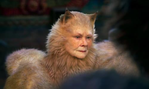 25 Harshest 'Cats' Reviews - What Movie Critics Said About Cats