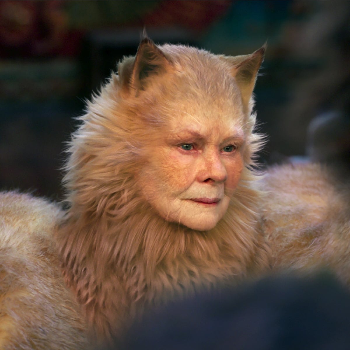 Scratch That Cats Film To Be Resupplied With Improved Visuals