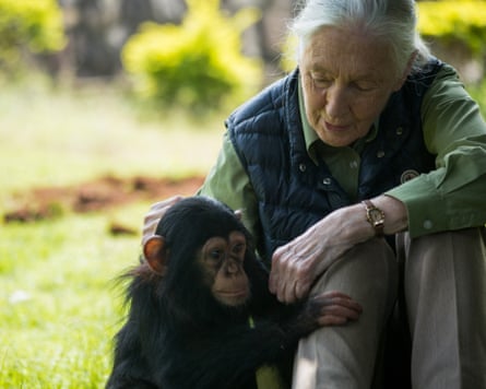 Jane Goodall with a chimp