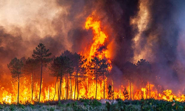 Blazes rage near Landiras in south-western France on Sunday