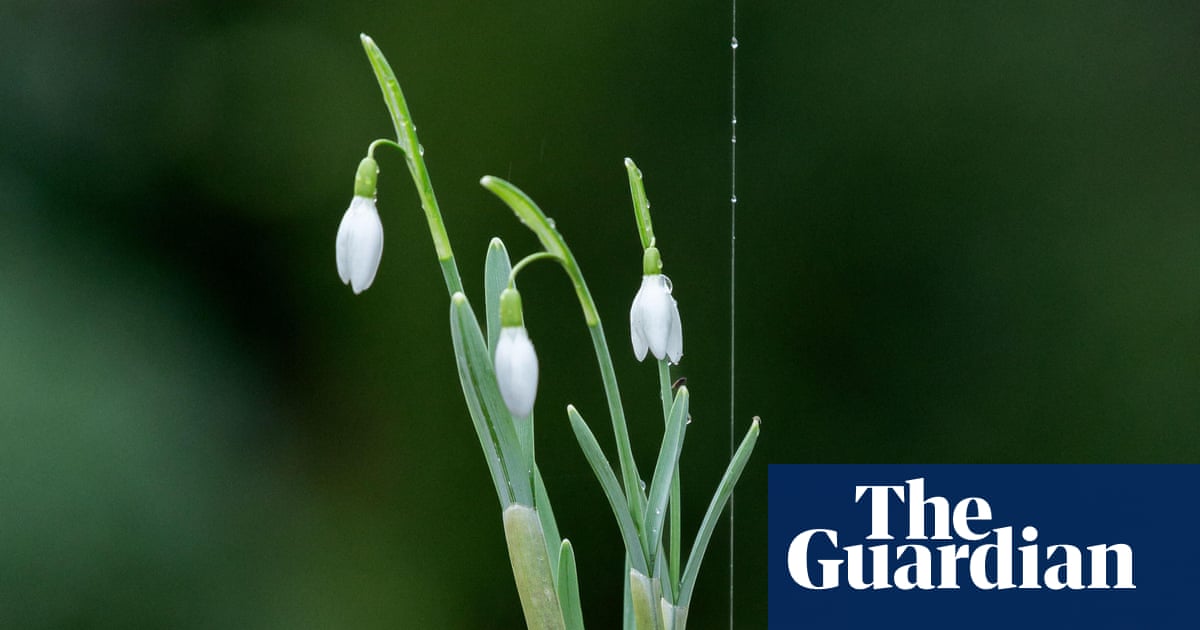 The Japanese gardening technique of kokedama will bring a touch of magic into your home