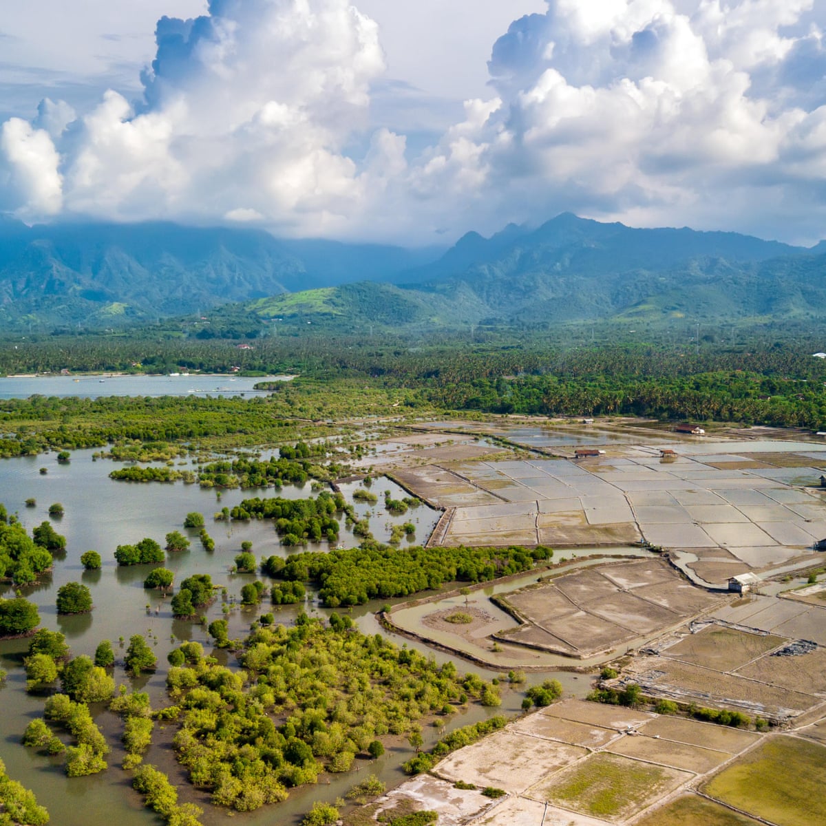Bali S Wild West Coast Unspoilt And Uncrowded Travel The Guardian