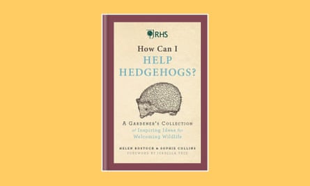 RHS How Can I Help Hedgehogs?, by Helen Bostock and Sophie Collins