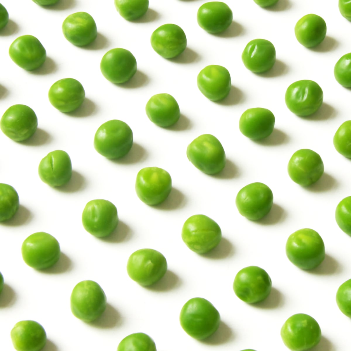 The unstoppable rise of veganism: how a fringe movement went mainstream | Veganism | The Guardian The unstoppable rise of veganism: how a fringe movement went mainstream | Veganism | The Guardian