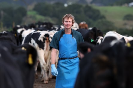 James Brady with his black and white cows
