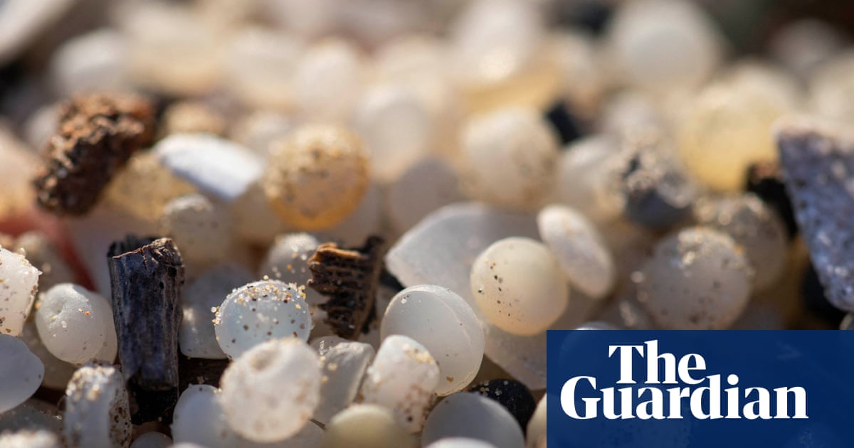 Plastic nurdles found at 84% of UK sites of special scientific interest