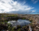 NatureScot may raise ‘more than £100m’ in private investment for conservation