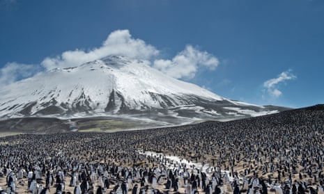 Zavodovski Island, with its colony of chinstrap penguins
