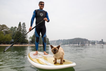 Gus the tonkingese cat enjoys activities like kayaking, stand-up paddle-boarding and swimming in the sea.
