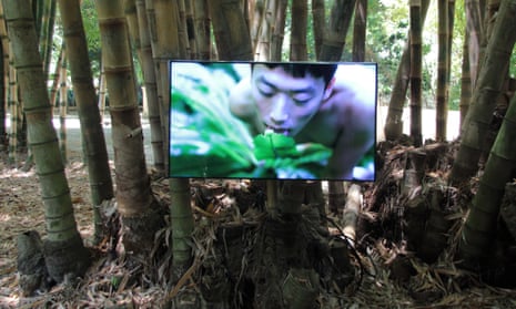 A still from Zheng Bo’s video art piece Pteridophilia at Orto Botanico.