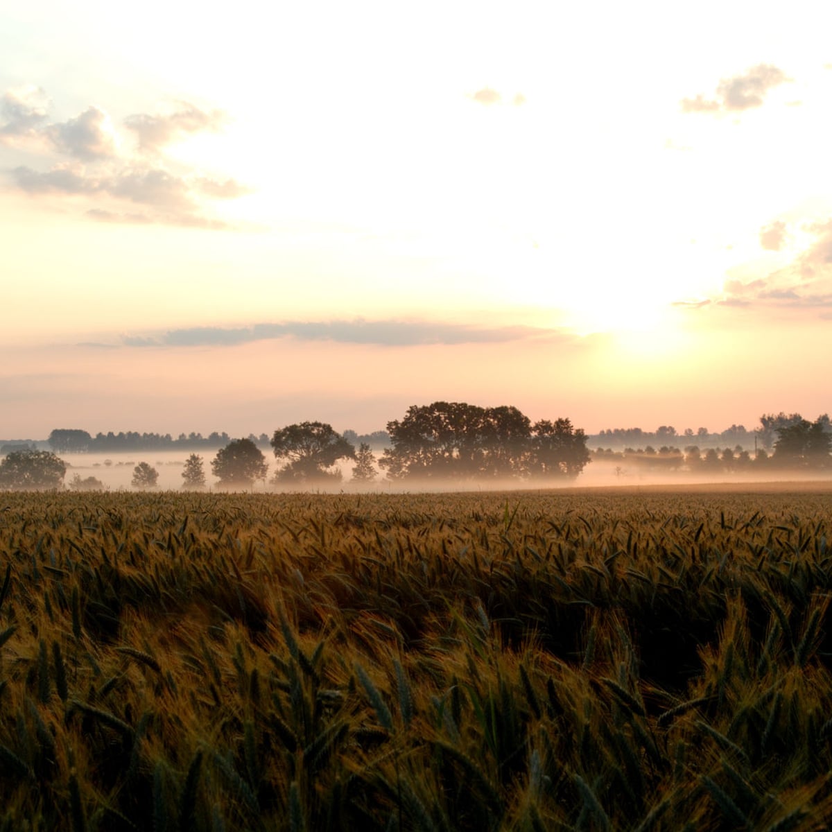 Get Theodor fontane Desktop Wallpaper Free Theodor Fontane