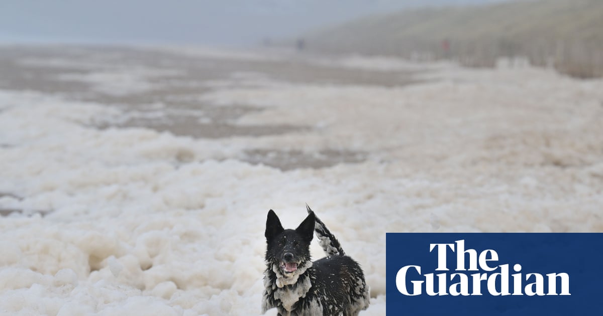 Natural Sea Foam: A Coastal Phenomenon, Not a Crisis