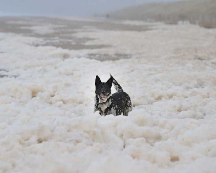 Sea foam may look sinister but it is mostly harmless and natural