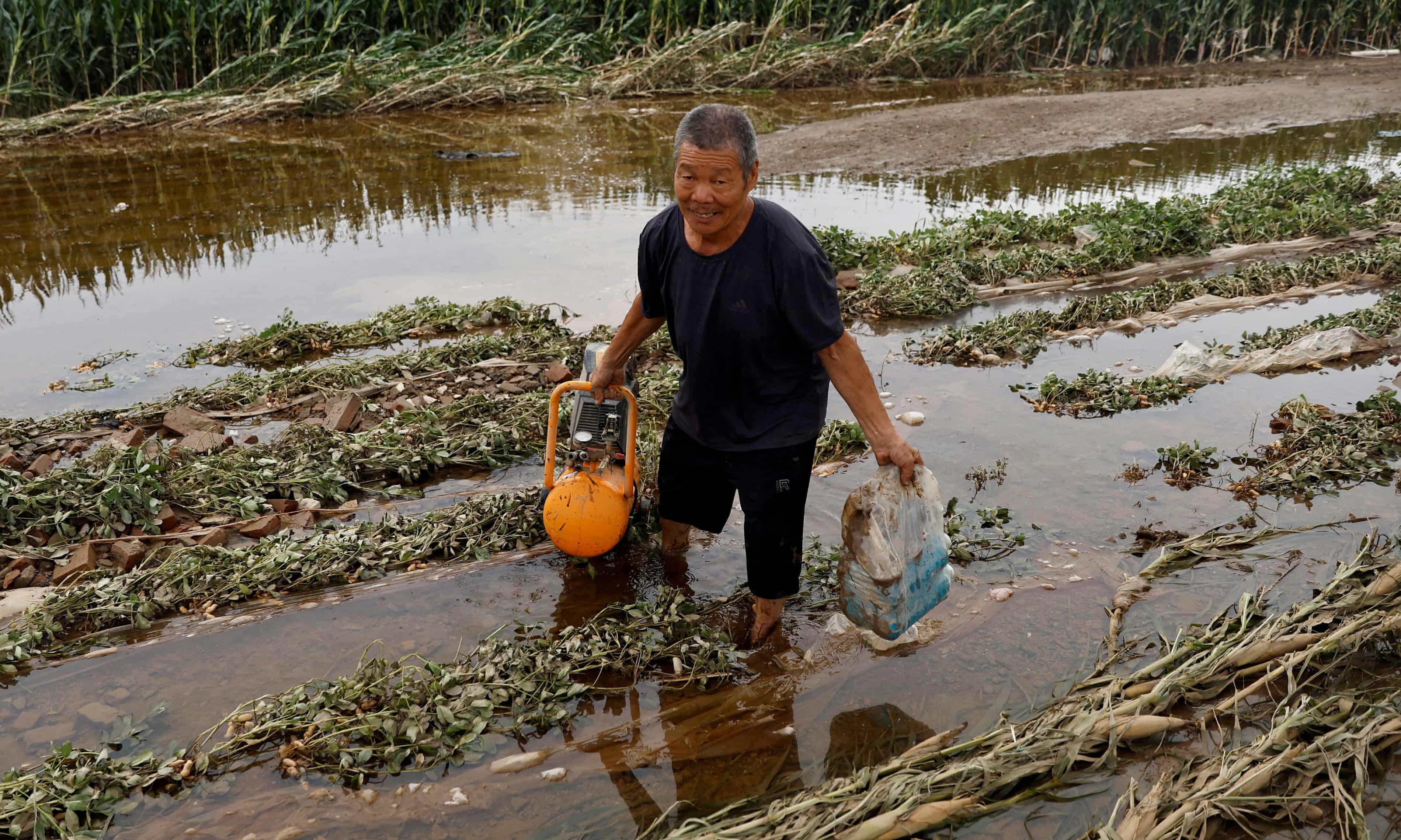 تصویر در دسترس نیست