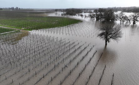 Water floods a vineyard in Santa Rosa, California.