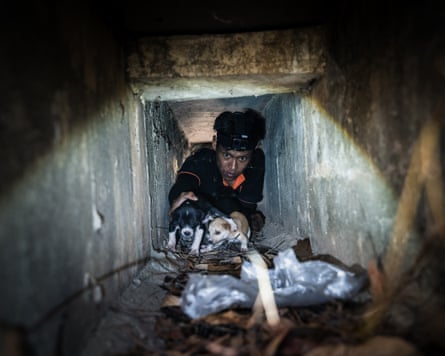A rescuer pulls two puppies from a drainage tunnel