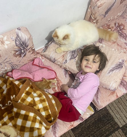 A little girl in a pink top lying on some pink cushions next to a white cat.