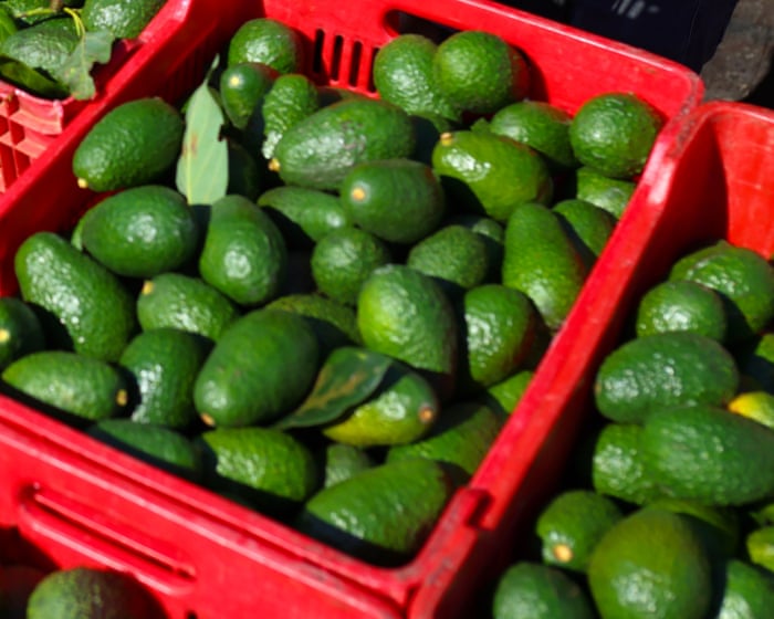 Energy shock talk grabs headlines but the Iran war is also driving the world towards a food crisis | Heather Stewart