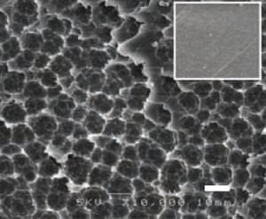 Electron microscope image of a degraded PET film surface after washing out adherent cells. The inset shows intact PET film.